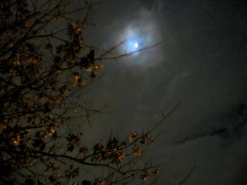 IMG_0146